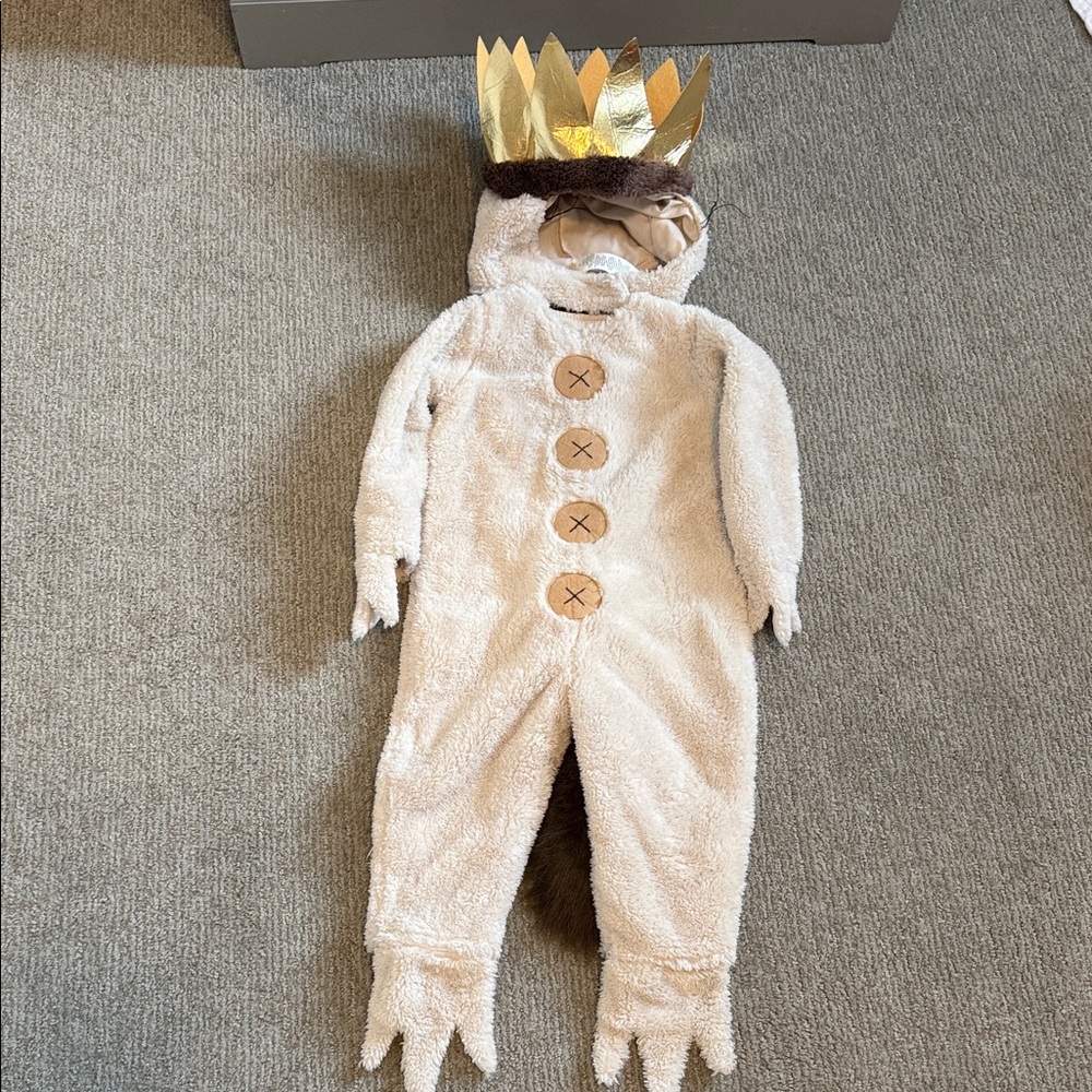 Pottery Barn Kids Where The Wild Things Are Costume Size 2T